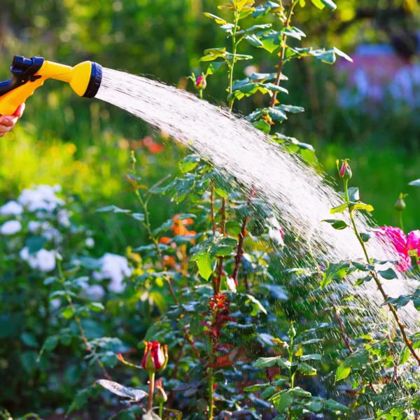 Centralized Care Service For Multiple Potted Garden Plants